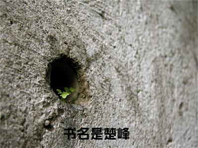 楚峰逍遥驸马爷正版小说全文阅读逍遥驸马爷全文免费完整版