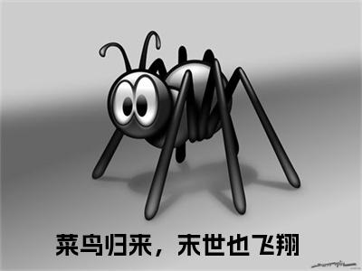 菜鸟归来，末世也飞翔（左灵裴楠生）小说免费在线阅读_菜鸟归来，末世也飞翔全本免费小说阅读大结局（左灵裴楠生）