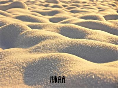 国风盛世（林航）小说全文免费阅读无弹窗大结局_（林航）最新章节列表（国风盛世）