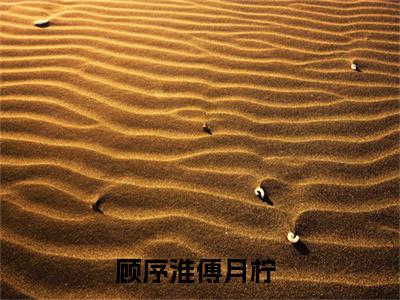 顾序淮傅月柠（顾序淮傅月柠小说）全文免费阅读无弹窗大结局_（顾序淮傅月柠阅读无弹窗）顾序淮傅月柠小说章节列表_笔趣阁