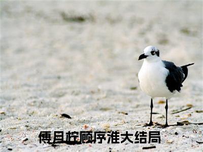 傅月柠顾序淮（傅月柠顾序淮）完整版全文全章节阅读傅月柠顾序淮