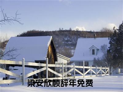 梁安欣顾辞年全文免费阅读无弹窗大结局_梁安欣顾辞年小说免费阅读完整版全文大结局