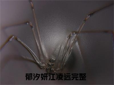 郁汐妍江凌远「精彩小说」无弹窗阅读 郁汐妍江凌远大结局阅读