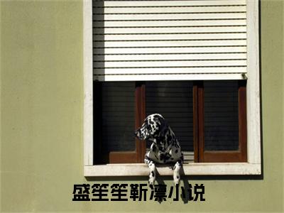 盛笙笙靳凛最新完结小说阅读-盛笙笙靳凛小说收藏阅读