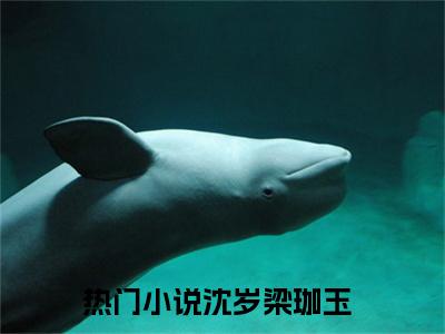 沈岁梁珈玉（沈岁梁珈玉）全文免费阅读无弹窗_沈岁梁珈玉最新小说_笔趣阁