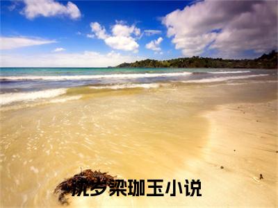 主人公叫沈岁梁珈玉的小说哪里免费看沈岁梁珈玉