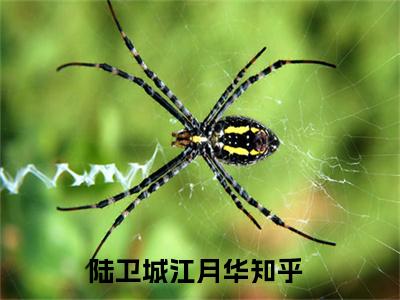 陆卫城江月华（陆卫城江月华）小说全文-陆卫城江月华无弹窗免费阅读