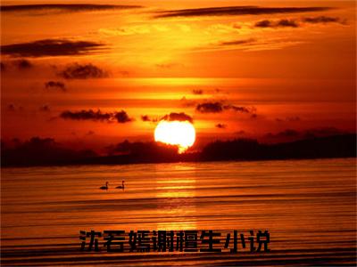 沈若嫣谢檀生小说小说今日阅读更新-（沈若嫣谢檀生小说）全文免费阅读-沈若嫣谢檀生小说