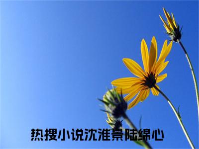 沈淮景陆绵心（沈淮景陆绵心）全文免费阅读无弹窗大结局_沈淮景陆绵心最新章节（沈淮景陆绵心）