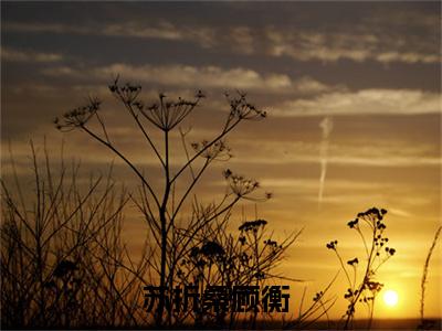 苏折桑顾衡小说免费阅读-（苏折桑顾衡）言情小说讲的是什么