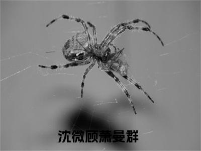 沈微顾萧曼群无广告小说全文免费阅读无弹窗大结局-沈微顾萧曼群在线阅读最新章节列表_笔趣阁