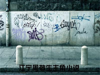 江宁周敬生独家小说丧家犬-江宁周敬生无删版小说推荐