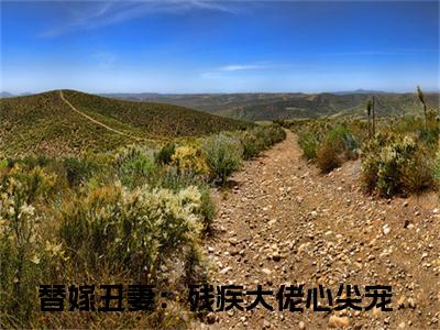 夏安笙秦九州（替嫁丑妻：残疾大佬心尖宠）全文免费阅读无弹窗大结局_夏安笙秦九州最新章节列表-笔趣阁替嫁丑妻：残疾大佬心尖宠