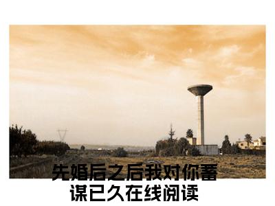 林汐顾渊（先婚后之后我对你蓄谋已久）在哪免费看-林汐顾渊小说（先婚后之后我对你蓄谋已久）全文完整版免费阅读