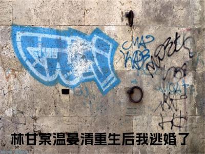 重生后我逃婚了全文免费阅读大结局_林甘棠温晏清已完结全集重生后我逃婚了大结局小说