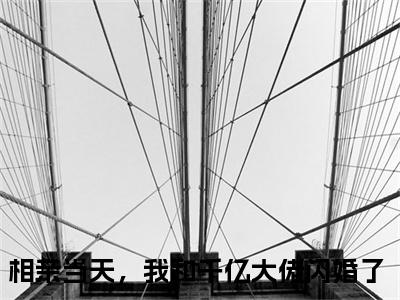 傅云深安暖（相亲当天，我和千亿大佬闪婚了）全文免费阅读无弹窗大结局_（相亲当天，我和千亿大佬闪婚了小说免费阅读）最新章节列表_笔趣阁