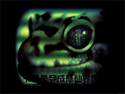 穿成修仙界废柴后我绑定了妖王冷青凝（穿成修仙界废柴后我绑定了妖王冷青凝小说全文）在线阅读-穿成修仙界废柴后我绑定了妖王冷青凝全文免费阅读无弹窗大结局