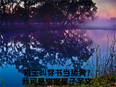 小说完整版阅读-穿书当舔狗？我可是堂堂皇子宇文浅美文欣赏