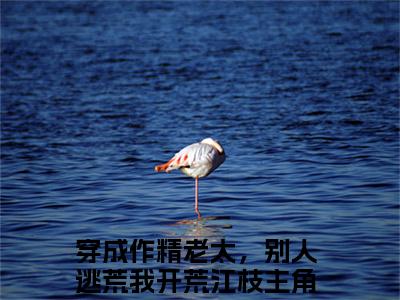穿成作精老太，别人逃荒我开荒江枝全文阅读 穿成作精老太，别人逃荒我开荒江枝小说最新章节