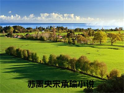 苏离央宋承瑜精选小说-苏离央宋承瑜全章节(苏离央宋承瑜)完整小说