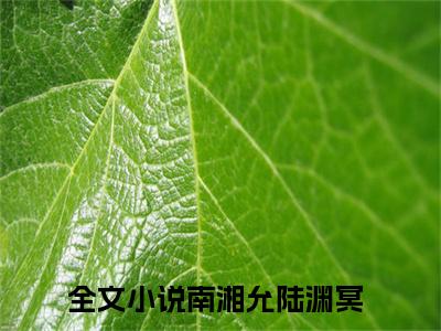 南湘允陆渊冥小说（南湘允陆渊冥）全文免费阅读无弹窗大结局_（南湘允陆渊冥）南湘允陆渊冥最新章节列表笔趣阁（南湘允陆渊冥）