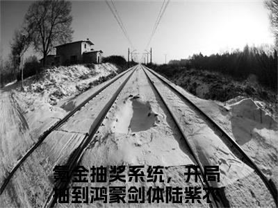 氪金抽奖系统，开局抽到鸿蒙剑体陆紫衣（氪金抽奖系统，开局抽到鸿蒙剑体陆紫衣）全文免费阅读无弹窗大结局-（氪金抽奖系统，开局抽到鸿蒙剑体陆紫衣）无弹窗-笔趣阁