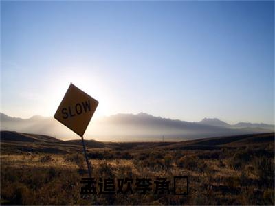 孟追欢李承玠小说免费阅读完整版全文大结局