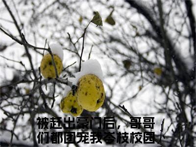 被赶出豪门后，哥哥们都团宠我岑枝新上热文小说讲的是什么-被赶出豪门后，哥哥们都团宠我岑枝全文完整版免费阅读