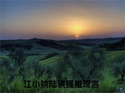 江小娆陆骁免费小说，姜绾顾怀宴全文免费阅读无弹窗大结局
