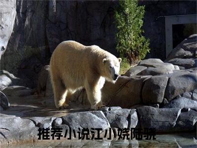 江小娆陆骁（江小娆陆骁）全文免费阅读无弹窗大结局_(江小娆陆骁)最新章节列表_笔趣阁