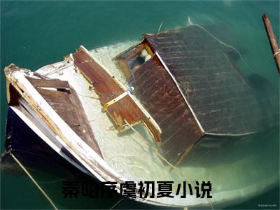 好书推荐小说秦昭序虞初夏-秦昭序虞初夏全文免费阅读大结局