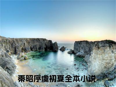 秦昭序虞初夏最新完结言情文-秦昭序虞初夏小说讲述的是什么秦昭序虞初夏