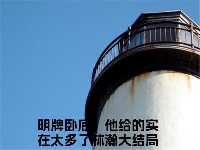 明牌卧底：他给的实在太多了林瀚小说最新章节（明牌卧底：他给的实在太多了林瀚）全文免费阅读无弹窗大结局_明牌卧底：他给的实在太多了林瀚免费阅读（明牌卧底：他给的实在太多了林瀚小说）