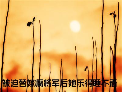 叶心宫青烨被迫替嫁瘸将军后她乐得睡不着正版小说全文阅读被迫替嫁瘸将军后她乐得睡不着全文免费完整版