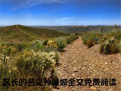 热门推荐小说（区长的名义孙廉城）精彩章节阅读-区长的名义孙廉城全文免费在线阅读_笔趣阁