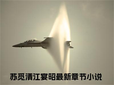 （完整版）热文苏觅清江宴昭小说阅读-苏觅清江宴昭全文抖音热推