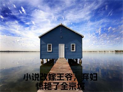 秦淮素傅显（改嫁王爷，弃妇惊艳了全京城）全文免费阅读无弹窗_秦淮素傅显小说免费阅读_笔趣阁