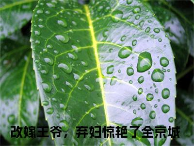 秦淮素傅显全文免费阅读无弹窗大结局-秦淮素傅显改嫁王爷，弃妇惊艳了全京城全文全章节免费阅读