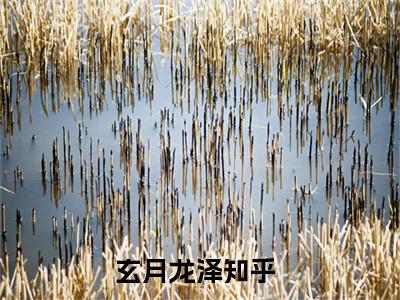 玄月龙泽小说（神君别跪了，夫人已自断情丝）全文免费阅读大结局_（玄月龙泽）神君别跪了，夫人已自断情丝小说免费阅读无弹窗