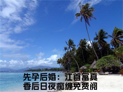 毛球江远帆全文免费阅读无弹窗大结局_毛球江远帆全文阅读_笔趣阁（先孕后婚：江首富真香后日夜痴缠）