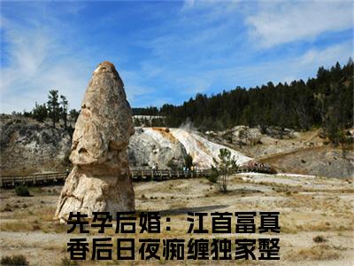 先孕后婚：江首富真香后日夜痴缠小说免费（毛球江远帆）全文免费阅读无弹窗-毛球江远帆小说全文免费阅读最新章节列表