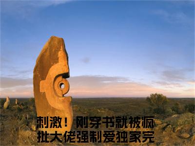 云婉兮周归璨小说（刺激！刚穿书就被疯批大佬强制爱）全文免费阅读无弹窗大结局_云婉兮周归璨全文免费完结版阅读（刺激！刚穿书就被疯批大佬强制爱）