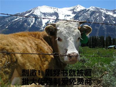 云婉兮周归璨小说免费阅读（刺激！刚穿书就被疯批大佬强制爱）全文免费阅读大结局-（云婉兮周归璨小说免费阅读）好书推荐