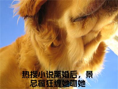 主角为离婚后，景总疯狂缠她吻她的小说精彩阅读-苏歌韵景凌寒最新章节阅读