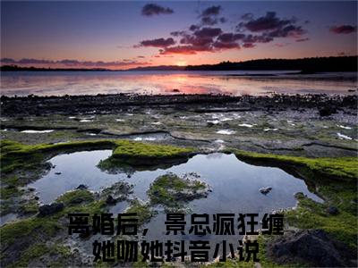 苏歌韵景凌寒小说（离婚后，景总疯狂缠她吻她）全文免费阅读无弹窗大结局_离婚后，景总疯狂缠她吻她小说最新章节列表_笔趣阁