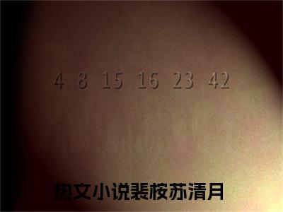 裴桉苏清月的小说全文免费阅读无弹窗，主角名字是：裴桉苏清月的小说在线免费阅读大结局