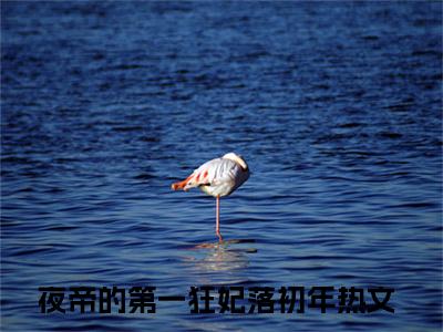 夜帝的第一狂妃落初年全文免费阅读无弹窗大结局-夜帝的第一狂妃落初年在线阅读