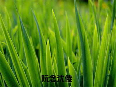 阮念沈倦（阮念沈倦）全文免费阅读无弹窗_阮念沈倦最新小说_笔趣阁（阮念沈倦）
