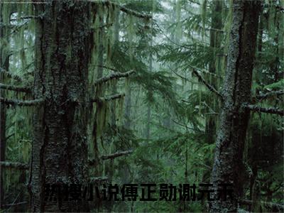 主角是科研小辣媳，宠得糙汉老公扛不了的小说叫什么名字傅正勋谢元禾小说免费阅读