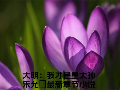 大明：我才是皇太孙朱允熥（大明：我才是皇太孙朱允熥）免费阅读无弹窗大结局-大明：我才是皇太孙朱允熥免费阅读大结局最新章节列表_笔趣阁